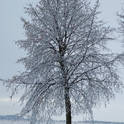 meadenver1@troet.cafe