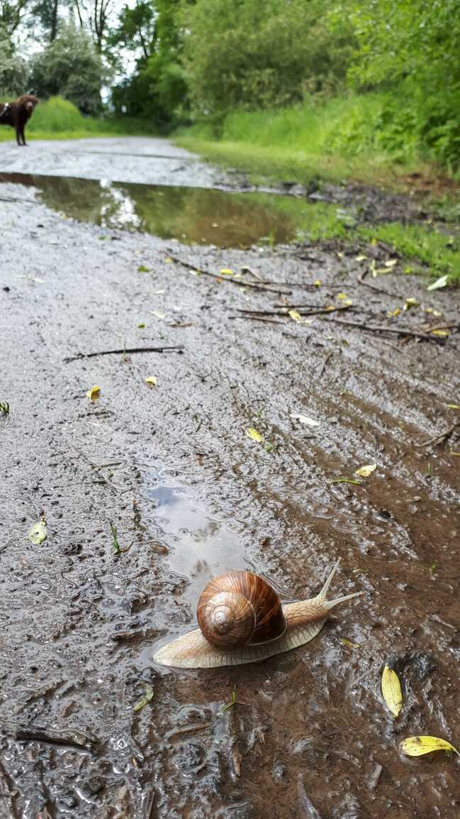 Titelfoto für diesen Kanal