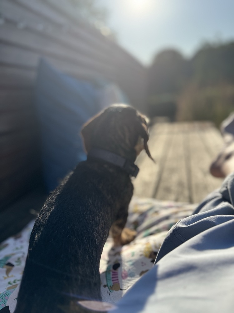 User banner
