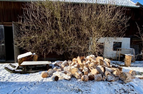Ein Haufen Baumanschnitte, schon ohne Rinde, liegen in einem verschneiten Hof