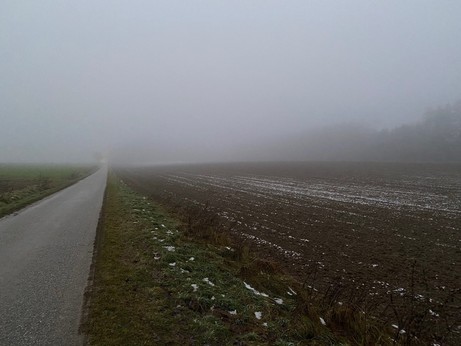 Straße und Feld im grauen Nebel 