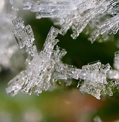 einzelne Reifkristalle, die in unterschiedliche Richtungen gewachsen sind 