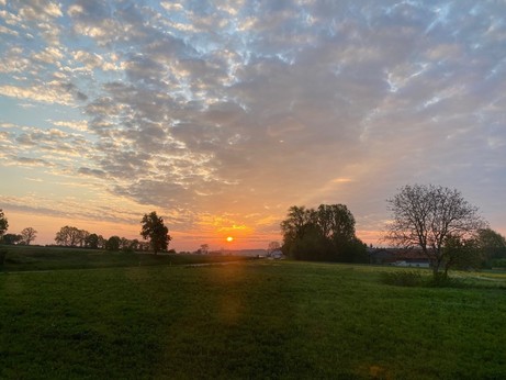 Sonne scheint durch leicht bunte Wolken nim Vordergrund grüne Wiese n