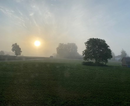 eine Sonnenscheibe ist im Nebel zu sehennWiese mit Baum