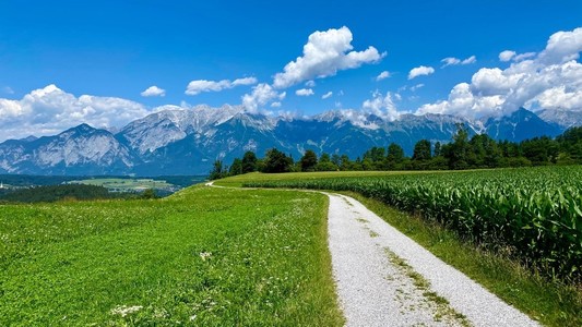 ein kleiner Feldweg zwischen grüner Wiese und Maisfeld und im Hintergrund ein quer stehender Bergzug mit oben felsigen Spitzen 