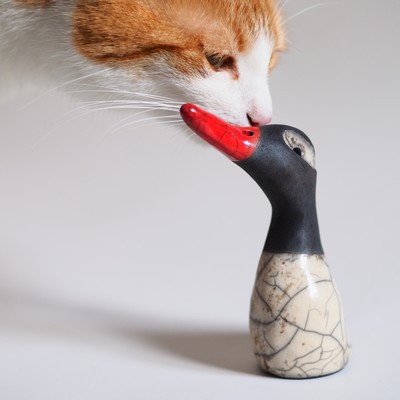 der Kopf einer rotweißen Katze schnuppert vorsichtig an einem Torso einer tönernen Ente