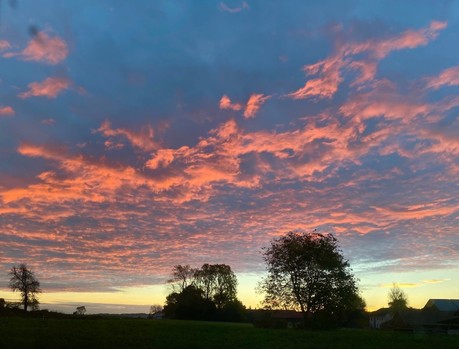 rosa Flecken an noch dunkelblauen Wolken von aufgehender Sonne 