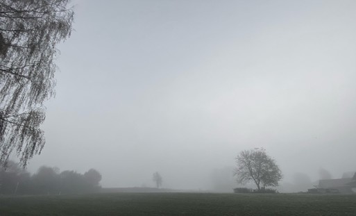 grauer Nebel mit schemenhaft zu erkennenden Ästen und Bäumen an und auf einer Wiese