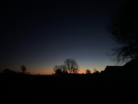 Dämmerung über einer Wiese, auf der ein Baum steht. Fast kein Orange am Horizont unter noch dunklem Himmel 
