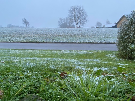 grüne Wiesen auf denen etwas Schnee zu erahnen ist und eine graue Straße quer durchs Foto 