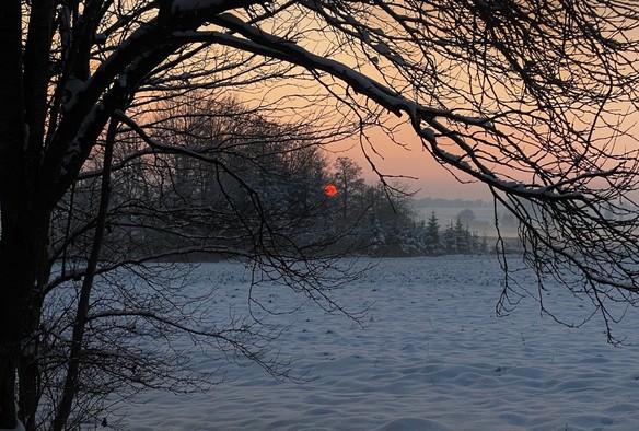 eine rote kleine untergehende Sonne ist durch einen lockeren Wald zu erkennen. Im Vordergrund der Stamm und hängende Äste und ein verschneites Feld 