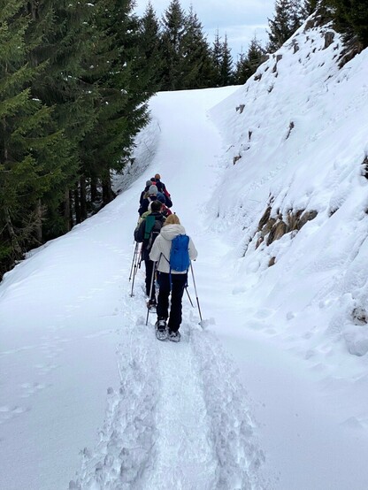 eine Reihe Schneeschuhwanderer auf einem bis dahin unbegabgenem Wanderweg
