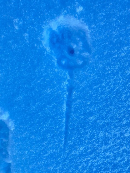 Schnee, in dem ein runder Abdruck und eine Schleifspur von einem Skistock zu erkennen ist 