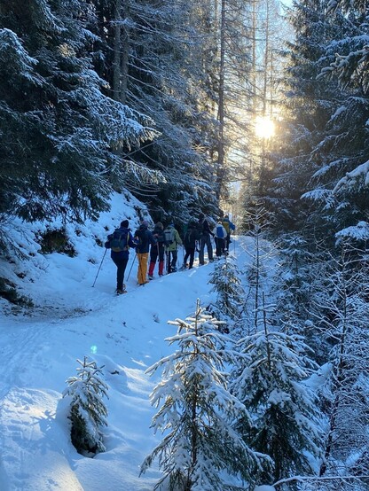 eine Gruppe bunter Gestalten wandert im Schnee leicht bergauf durch einen lichten Wald und die Sonne scheint durch Bäume 