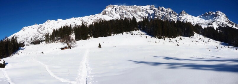 hinter einer verschneiten Fläche mit einzelnen Bäumen drin ein verschneiter breiter Bergzug 
