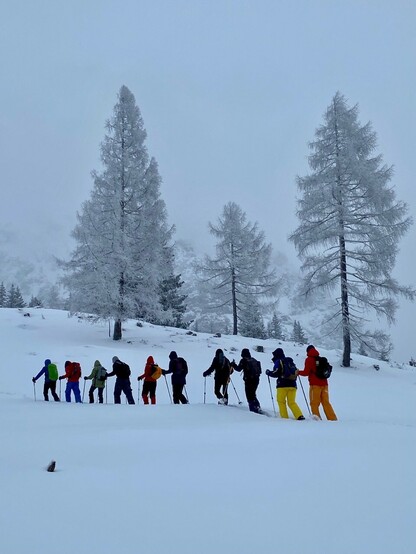 eine bunt gekleidete Gruppe Schneeschuhwanderer vor zwei hoch aufragenden frei stehenden Lärchen 