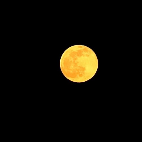 ein gelblicher Mond am schwarzen Himmel 