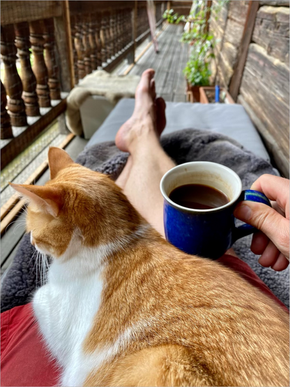 eine rotweiße Katze liegt auf Beinen und eine blaue Kaffeetasse ist zu sehen auf einem Holzbalkon 