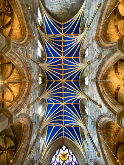 ein Blick senkrecht nach oben in einer großen Kirche. Die Spitzbögen und gotischen Verstrebungen der Decke sind zu sehen. Alle Flächen in der Decke sind royalblau zwischen den weißen Streben gefüllt 