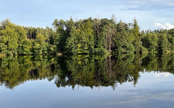 eine Spiegelung in einem ruhigen See von den grünen Bäumen am anderen Ufer 