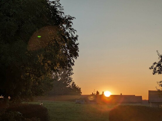 Die Sonne erscheint oberhalb des Daches eines Bauernhofes. Links ein Laubbaum 
