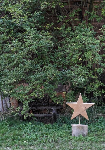 ein Holzsstern steht auf einer kurzen Stange auf einem kurzen Baumstamm vor grünem Holunder
