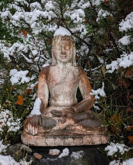 ein mit Schnee überzuckerter Buddha sitzt vor Kiefern