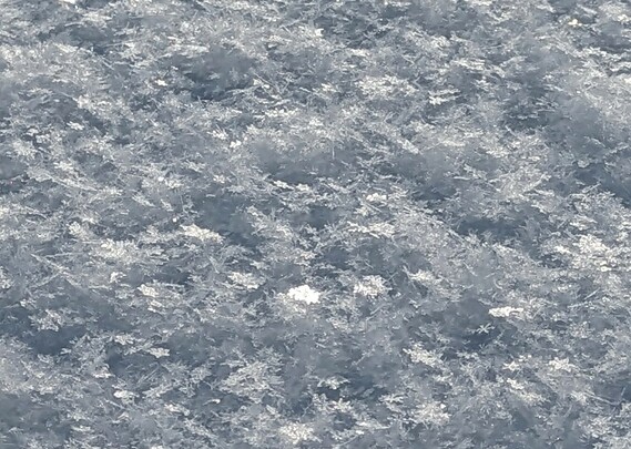 Weiße Oberfläche von Pulverschnee mit lauter durcheinander liegenden hauptsächlich flachen Eiskristallen. Manche reflektieren das Sonnenlicht