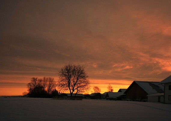 oranger Horizont über beschneitem Feld und orange angeleuchtete Wolken.