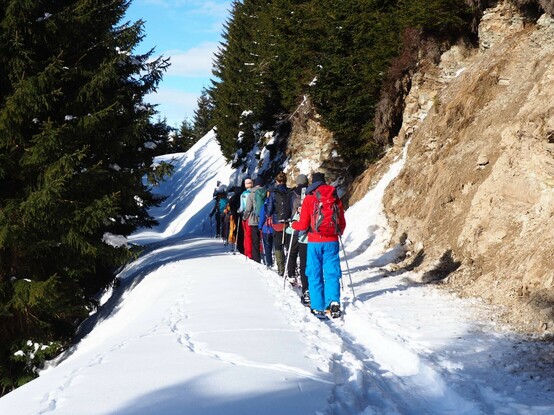 Eine Gruppe bunter Schneeschuhwanderer geht hintereinander in der Sonne einen Weg an einer Felswand entlang. Links grüne Nadelbäume