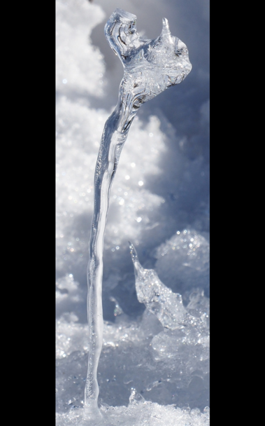 Nahaufnahme eines abgebrochenen Eiszapfen im Schnee, in dessen glatter Oberfläche sich vieles spiegelt