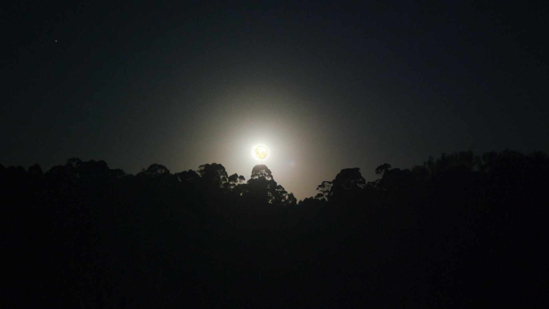 La imagen casi original de la imagen altamente modificado por el programa GIMP.</p><p>Se ve el horizonte de arboles de eucalipto de la cierra de la tierra de nuestros nietos con la luna en su tamaño real. Las copas de los arboles parecen recortados con claridad contra el horizonte iluminado por la luna con un cierto resplandor blanquecino. La mitad inferior de la imagen es negro escuro no mas mientras que todo el cielo visible desvanece hacia grises oscuros hacia los bordes de la parte superior de la imagen.</p><p>La propia luna de color cremoso de la imagen inicial de esta publicación fue recortada e insertada en el lugar original y del tamaño original de la luna en esta imagen para que se pueda apreciar su color cremoso visible real en su momento a la textura de la propia luna por sus valles y cráteres.