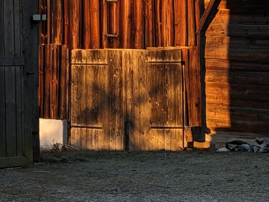 warme Morgensonne leuchtet auf ein Tor in einer Holzscheune. Die Schrauben reflektieren das Licht