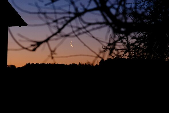 eine kleine Mondsichel am morgendlich bunten Himmel durch kahle Äste fotografiert