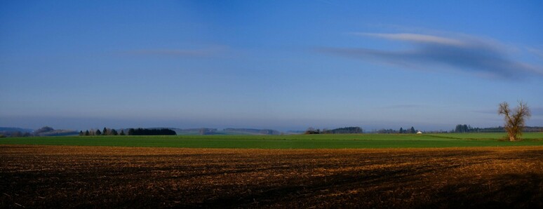 blauer Himmel mit einer kleinen langgezogenen WolkennSonne scheint auf eine weite leicht wellige Landschaft mit braunen und grünen Feldern. rechts steht ein alter Baum