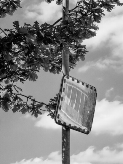 Schwarzweissfoto: Ein Ausfahrtsspiegel (heisst das so?) an einem Mast, Zweige.