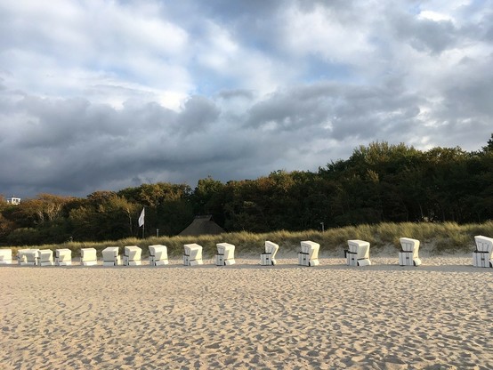 Foto: Eine Reihe Strandkörbe am sonnigen Strand, dahinter Baumbewuchs und ein wilder Himmel mit weißen und grauen Wolkenbereichen.