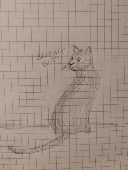 Zeichnung einer sitzenden Katze von hinten, die sich umdreht, Bildüberschrift: 