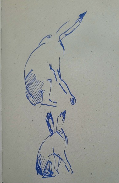 Federzeichnung in blau: Skizze von zwei sitzenden Hasen, die den Kopf nach hinten wenden.  Der obere schaut über die Schulter. 
