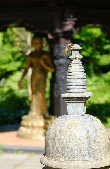 auf der Spitze einer runden Steinskulptur sitzt eine gelbe Libelle. Unscharf im Hintergrund eine stehende Buddha Figur in einem Pavillon.