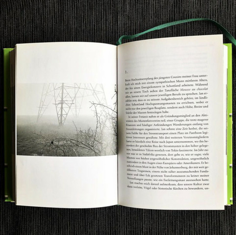 Das Buch aufgeschlagen am Beginn des besagten Kapitels. Auf der linken Seite ein Landschaftsfoto mit dem Sockel eines Strommasten.