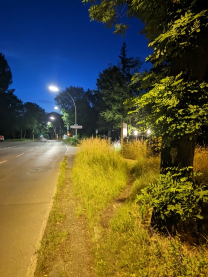 Das Foto zeigt eine nächtliche Straßenszene am Rand von Berlin. Es ist 3:20 Uhr in der Nacht, aber die Umgebung ist durch Straßenlaternen und andere Lichtquellen gut erleuchtet. Links im Bild verläuft eine asphaltierte Straße, die sich in die Ferne erstreckt. Entlang der Straße sind mehrere Straßenlaternen zu sehen, die ein warmes, gelbes Licht ausstrahlen. 

Rechts neben der Straße befindet sich ein schmaler, unbefestigter Weg, der von hohem, dichtem Gras und verschiedenen Pflanzen flankiert wird. Ein großer Baum mit dichtem Laub steht am rechten Bildrand, teilweise beleuchtet von den Laternen. Im Hintergrund sind weitere Bäume und Büsche zu erkennen, die sich in der Dunkelheit verlieren.

Die tiefblaue Nacht und die erleuchtete Straße schaffen einen starken Kontrast, der die künstliche Helligkeit in der sonst dunklen Umgebung betont. Einige entfernte Lichter von Häusern oder anderen Gebäuden blitzen durch das Laubwerk hindurch. Die Szene wirkt ruhig und verlassen, ohne Anzeichen von Verkehr oder Menschen.

Besonders in der Ferne (Richtung 