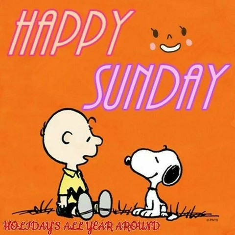 Snoopy und Charlie Brown wünschen Euch allen einen schönen Sonntag 