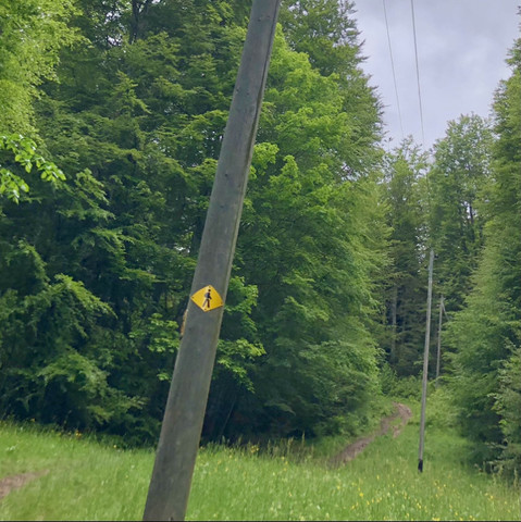 Ein Wanderweg im Wald an Strommasten entlang. Auf einem ist ein Wanderweg-Zeichen zu sehen.