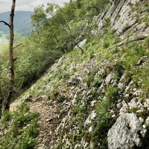Eine steile Felsenwand und ein schmaler, steiniger Weg der nach unten führt.