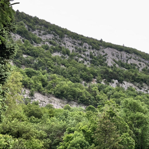 Die teils bewaldete Felsenwand im Rückblick von unten gesehen.