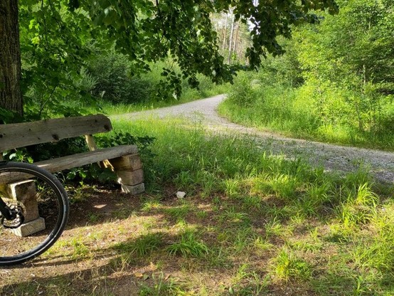 Eine Bank an einer Wegkreuzung im Wald, man sieht noch das Vorderrad eines Fahrrads.