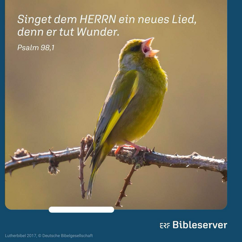 Singet dem HERRN ein neues Lied, denn er tut Wunder. Er schafft Heil mit seiner Rechten und mit seinem heiligen Arm.   Psalm 98,1 (LUT)