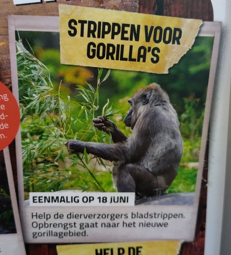 Foto von einem Plakat mit Veranstaltungen im Apenheul. Überschrift: Strippen voor Gorilla's 
Eenmalig op 18 Juni