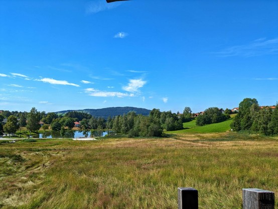 Blick in eine Landschaft mit ungemähter Wiese, einem kleinen Teich und blauem Himmel drüber